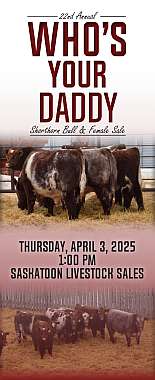 2025 Who’s Your Daddy Shorthorn Bull and Female Sale catalogue